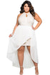 Stylish Lace Special Occasion Plus Size Dress